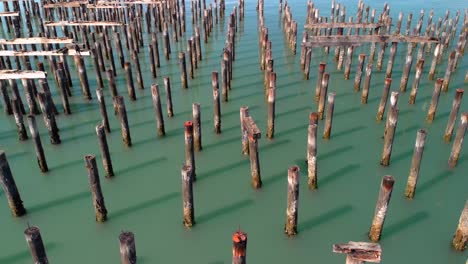 dickman mill pylons resting in calm teal ocean water