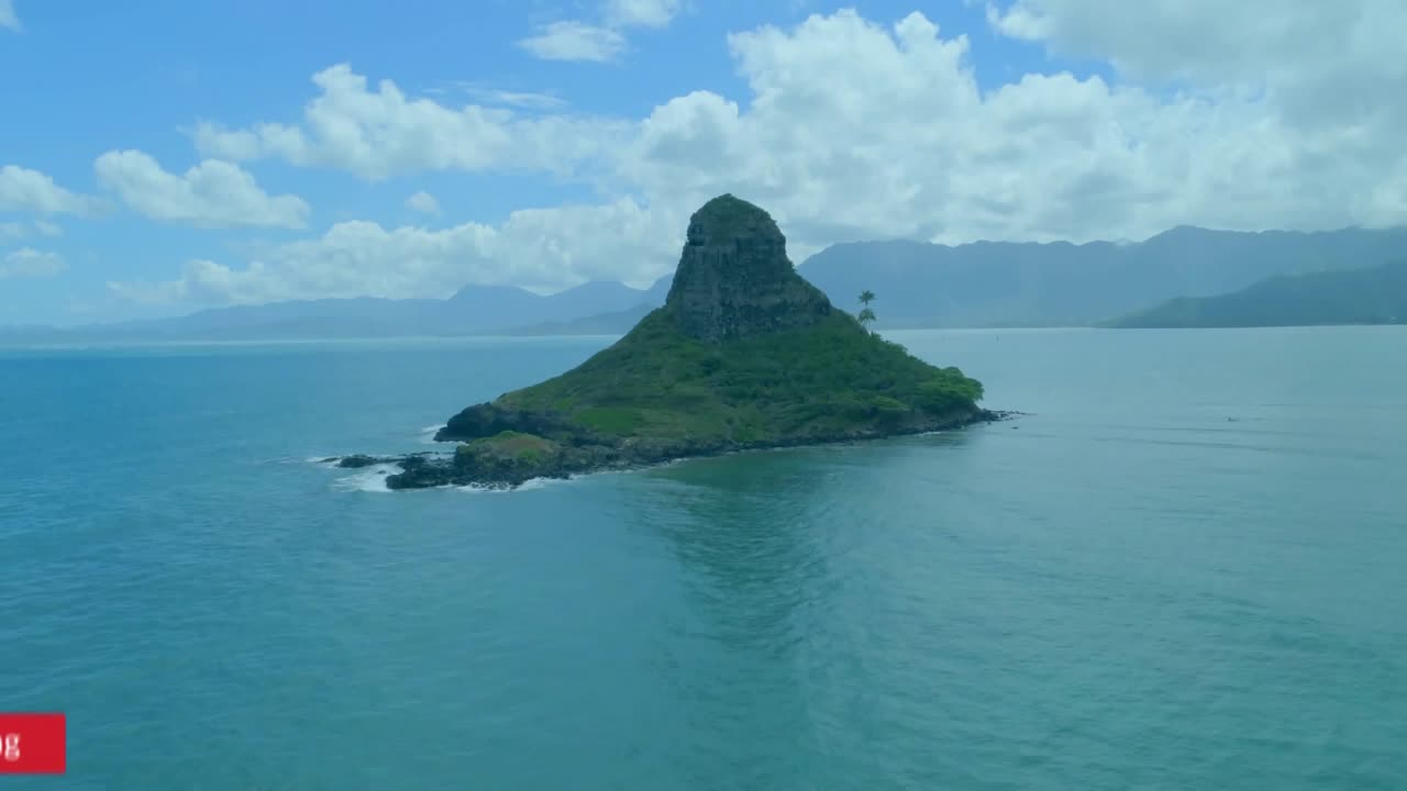 Drone rising after island reveal, notifications floating and clustering to show social engagement