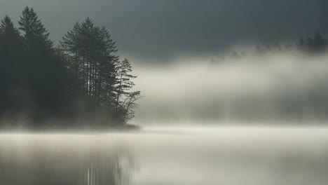 a serene morning at the misty lake, where trees seem to touch the fog, creating a dreamlike atmosphere of tranquility and beauty