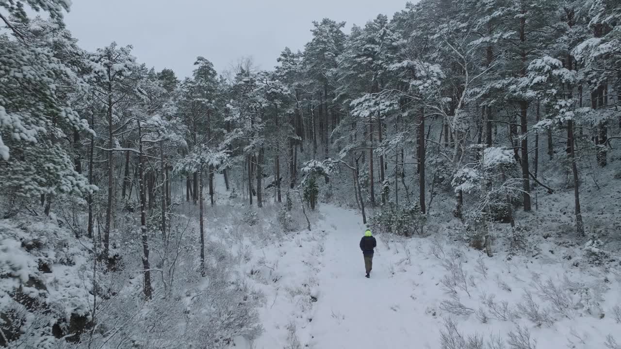 imágenes de drones de un hombre caminando en un bosque invernal en noruega