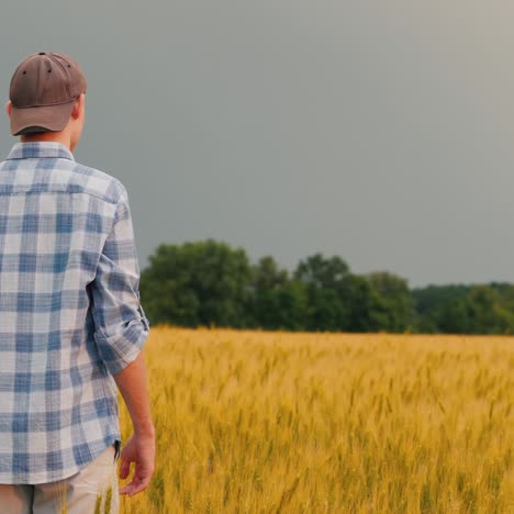 Farmer-Admires-A-Field-Of-Wheat-At-Sunset-1