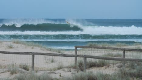 surfer ejecting from the wave as a black bird flies by, crossing the scene