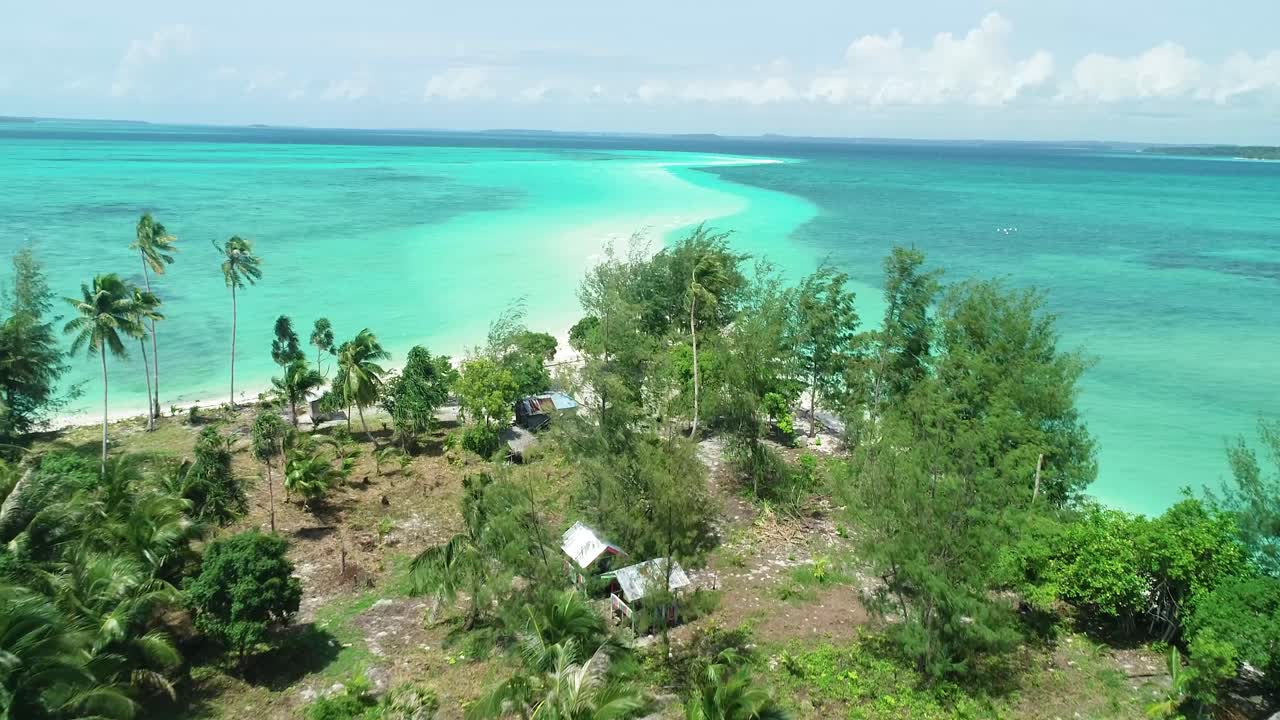 Una vista aerea mostra palme e la lingua di sabbia serpentina dell'isola di Snake, Indonesia 1