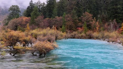 china, scenery, sichuan jiuzhaigou, scenic area