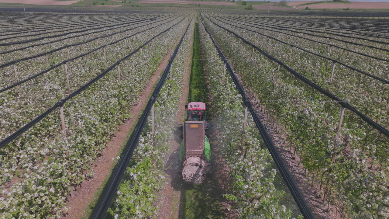 Apple Orchard Spraying in Spring