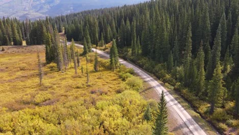 Drop-Shot-Eines-Goldenen-Feldes-In-Telluride,-Colorado