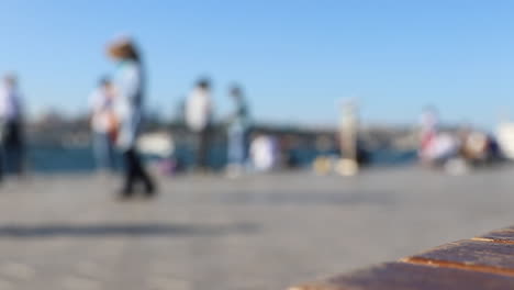 crowd walking seashore
