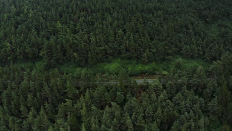 Aerial-view-of-a-forest-road-in-the-Clogheen-mountains-with-the-camera-panning-down,-Tipperary,-Ireland