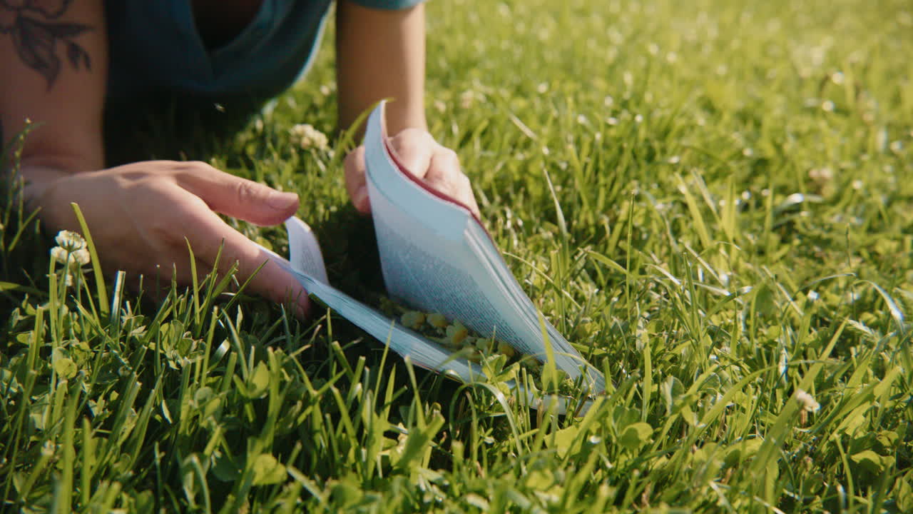 Woman Reading a Book in a Field of Grass