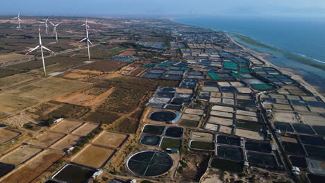 aerial flying over shrimp farming near phan rang, vietnam