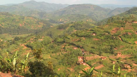 establecimiento de una toma en la exuberante campiña tropical de ruanda