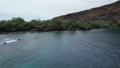 Snorkel-Y-Caminata-Por-La-Bahía-De-Kealakekua