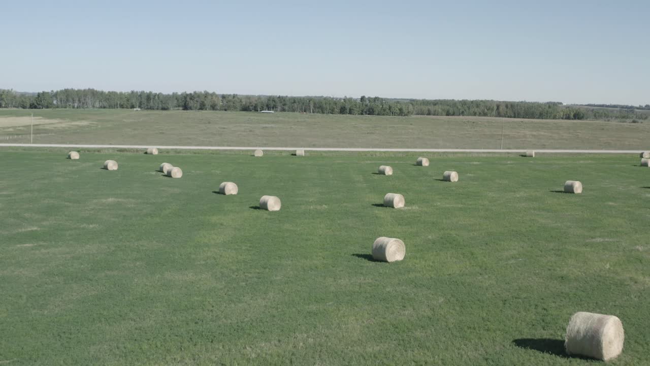 다른 농장 5-5의 경계로 도로로 구분된 푸른 하늘이 있는 맑은 여름날 농지의 무성한 푸른 목초지 위에 대칭으로 흩어진 근접 원형 건초 더미 위의 공중 빠른 비행