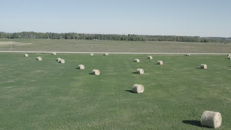 aerial quick fly over closeup circular hay bales scatterred symetrical over a lush green pastures of farmland on clear sumemr day with blue skies seperated by roads as boundaries to other farms 5-5