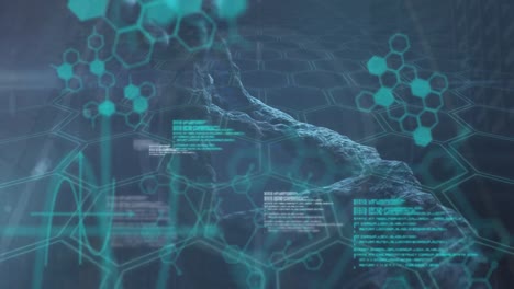 animación del procesamiento de datos sobre la cadena de adn