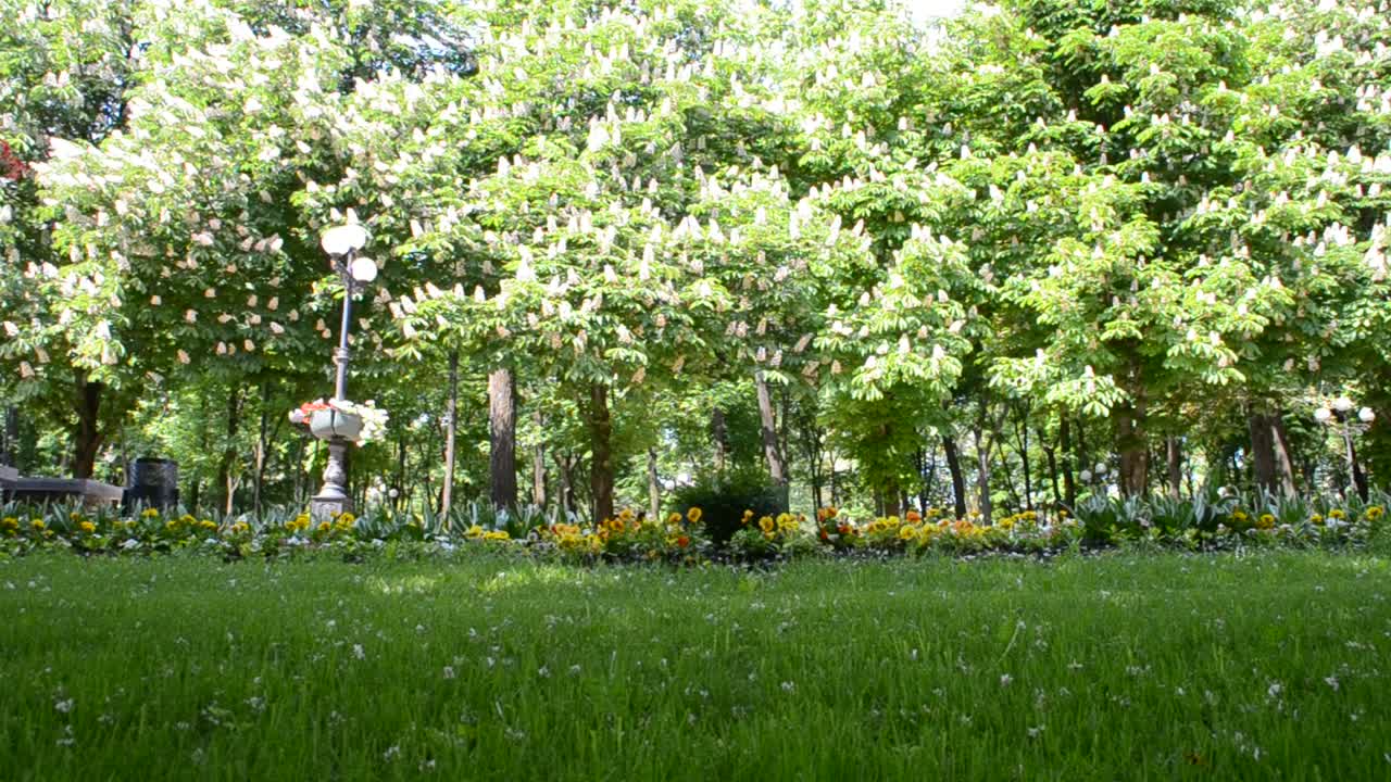 公園