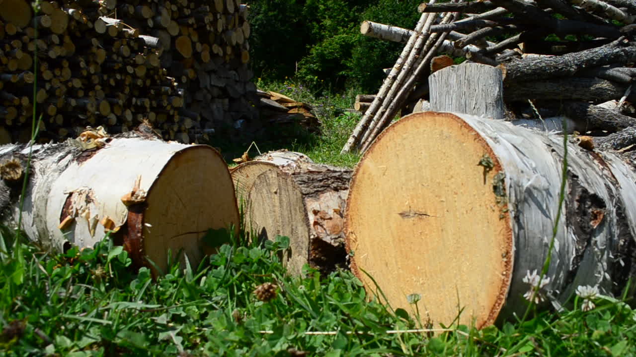Legna da ardere nel cortile. Riprese nel villaggio