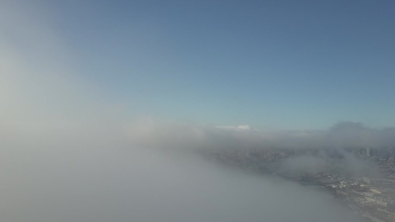 샌프란시스코의 안개 위로 높이 치솟아