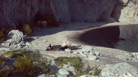 calm lake in a desert canyon