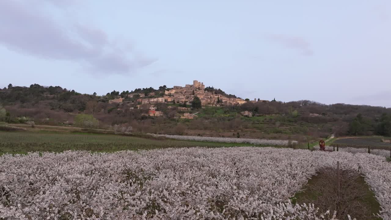 Flygfoto över blommande fruktträdgård och stenbyn Lacoste på våren.