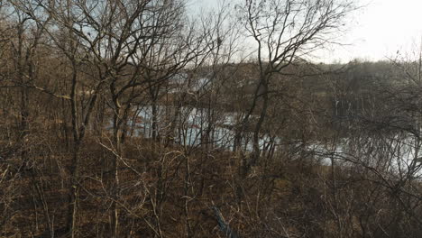 Dried-Trees-And-Branches-Without-Leaves-In-Lake-Flint-Creek,-Arkansas,-USA