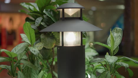 outdoor lamp in garden setting illuminates lush green plants, showcasing intricate leaf patterns and serene ambient lighting for a tranquil, natural scene