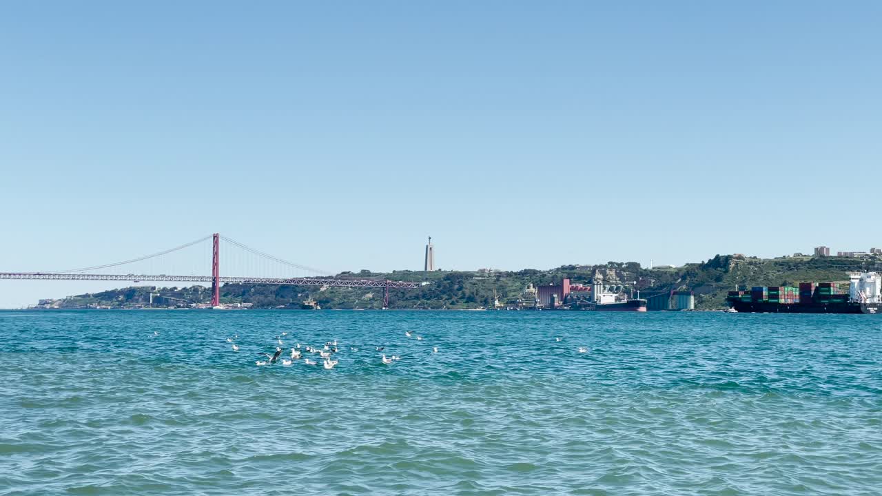 다리 근처 에 있는 타구스 강 위 에 날아다니는 해파리 들