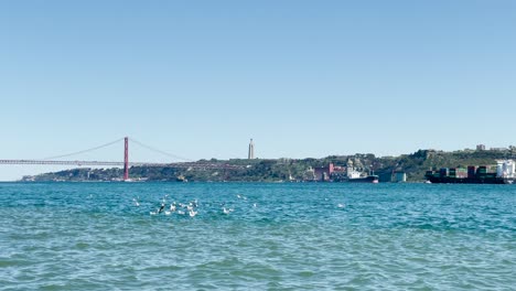 flying seagulls over tagus river near a bridge