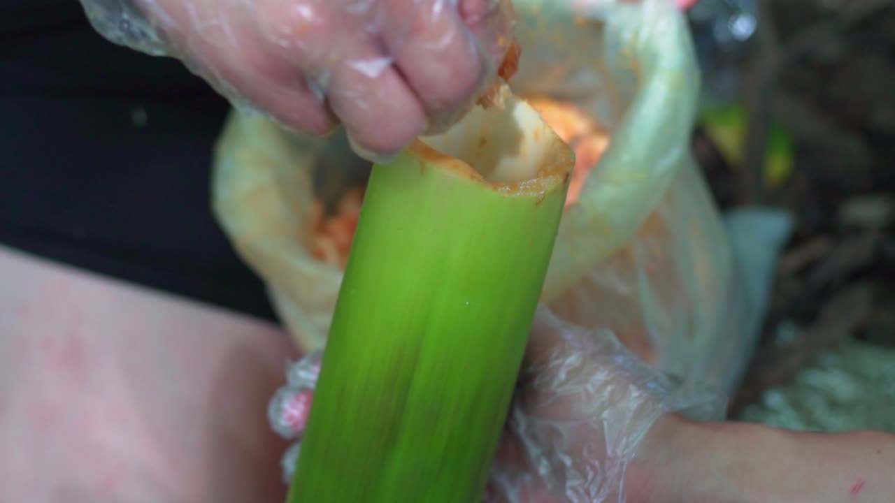 Campers with bags of raw meat stuffing in the  cut bamboo shoot to cook the meat with fire