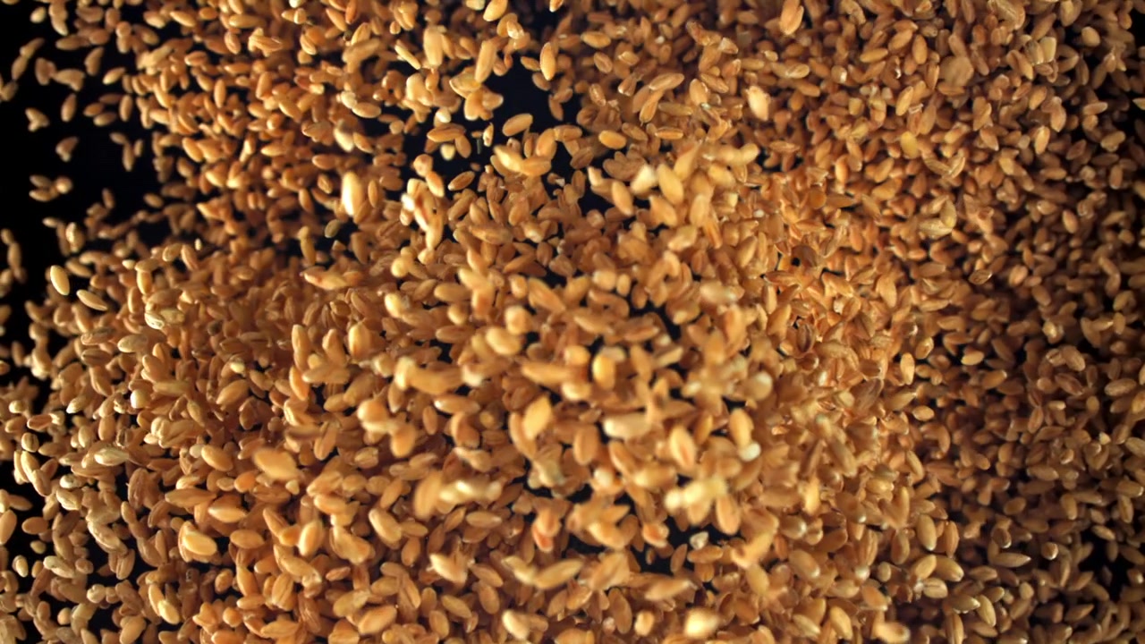 Chicchi di grano che cadono al rallentatore su sfondo nero.