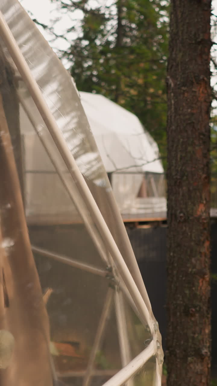 숲 속의 글램핑 하우스 (glamping house) 는 자연의 침을 즐기는 관광객을 위한 반투명한 숙박시설이다.