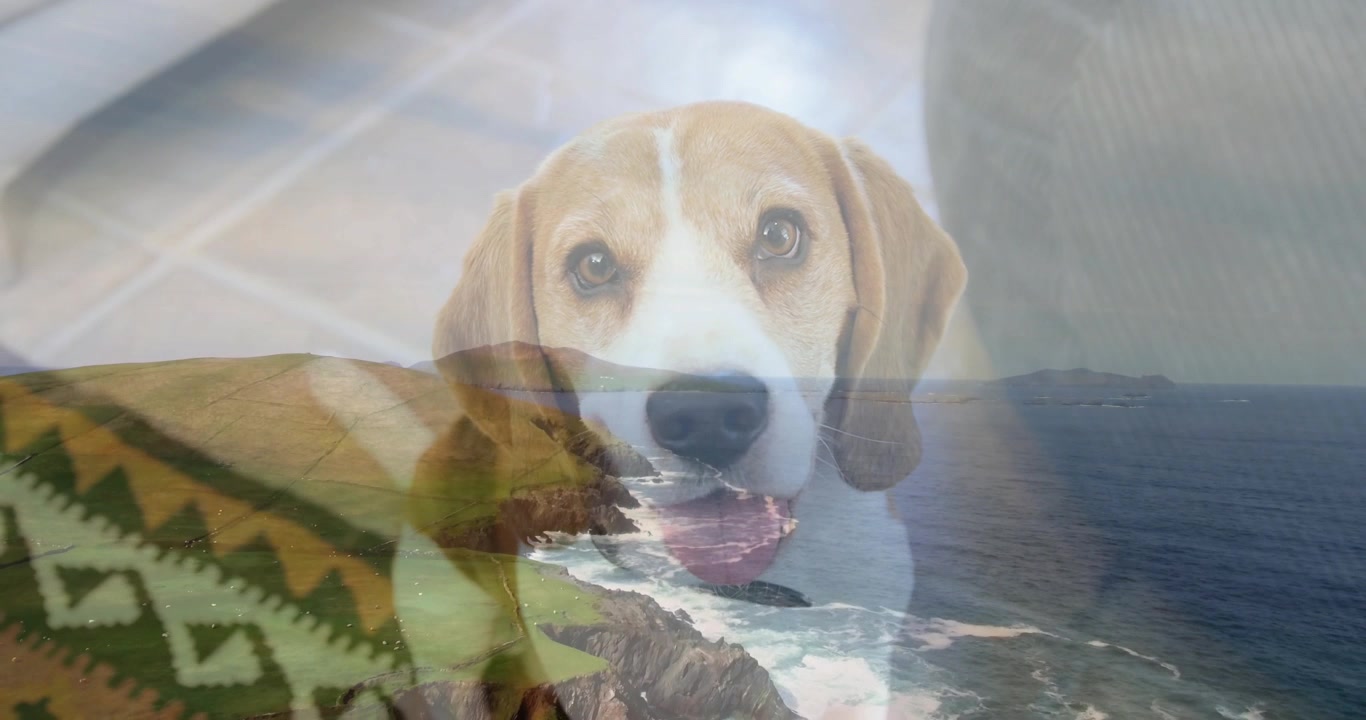 Redaktør overlejrer kystlandskab, mens en beagle viser subtile mund- og øjenændringer til markedsføring.