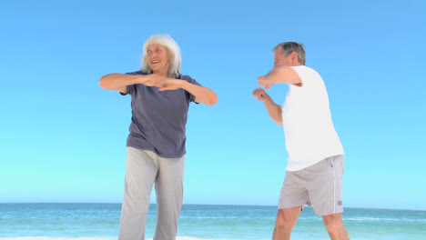 aged couple doing flexibility exercice