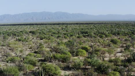 Flat desert landscape with mountains in the background