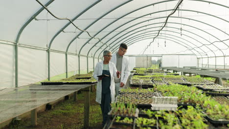 Greenhouse,-man-and-woman-with-a-tablet