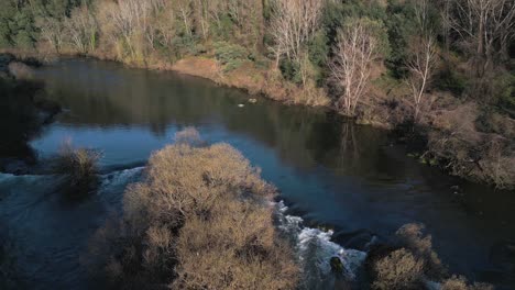 Serene-Bend-in-Tâmega-River,-Chapa-Amarante-Portugal---aerial-view