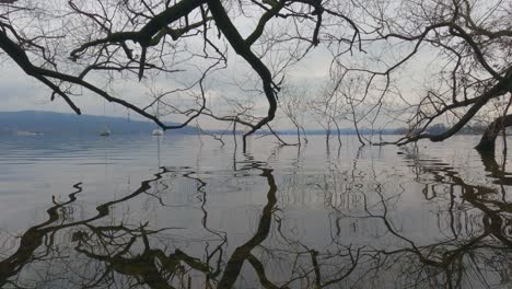 asombrosa vista única de las ramas de los árboles sumergidas en el agua del lago que se refleja en la superficie