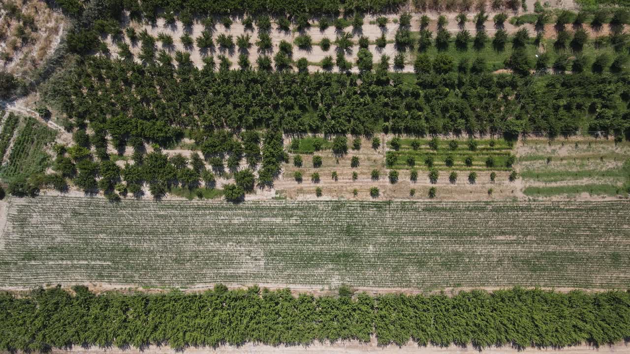 jardín de granja en hilera