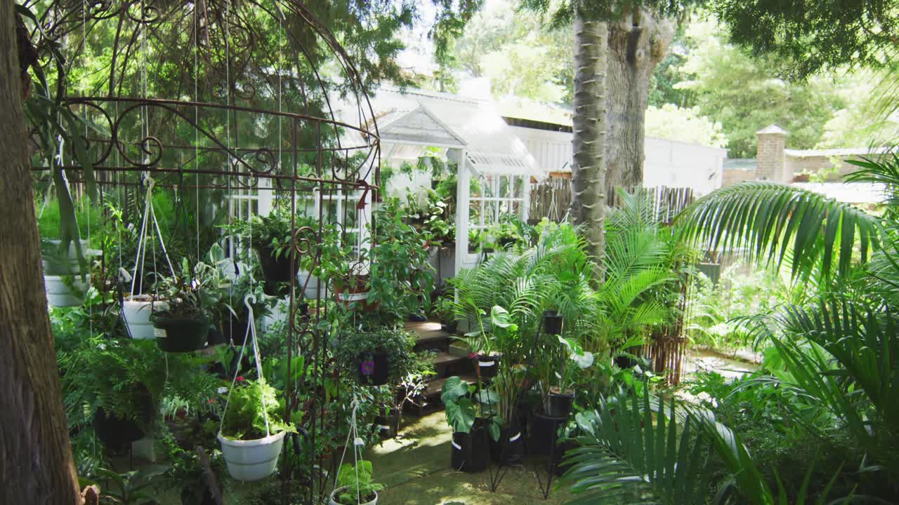 Taman dengan tanaman dan rumah kaca