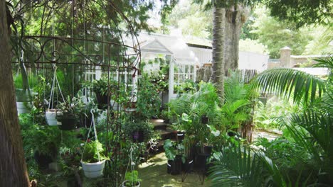 garden with plants and a greenhouse