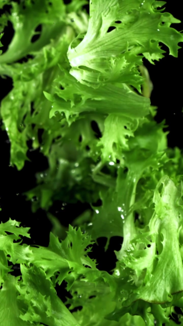 Fresh Green Lettuce Leaves Floating in Water on Black Background