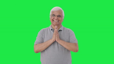 Happy-Indian-old-man-doing-Namaste-and-greeting-Green-screen