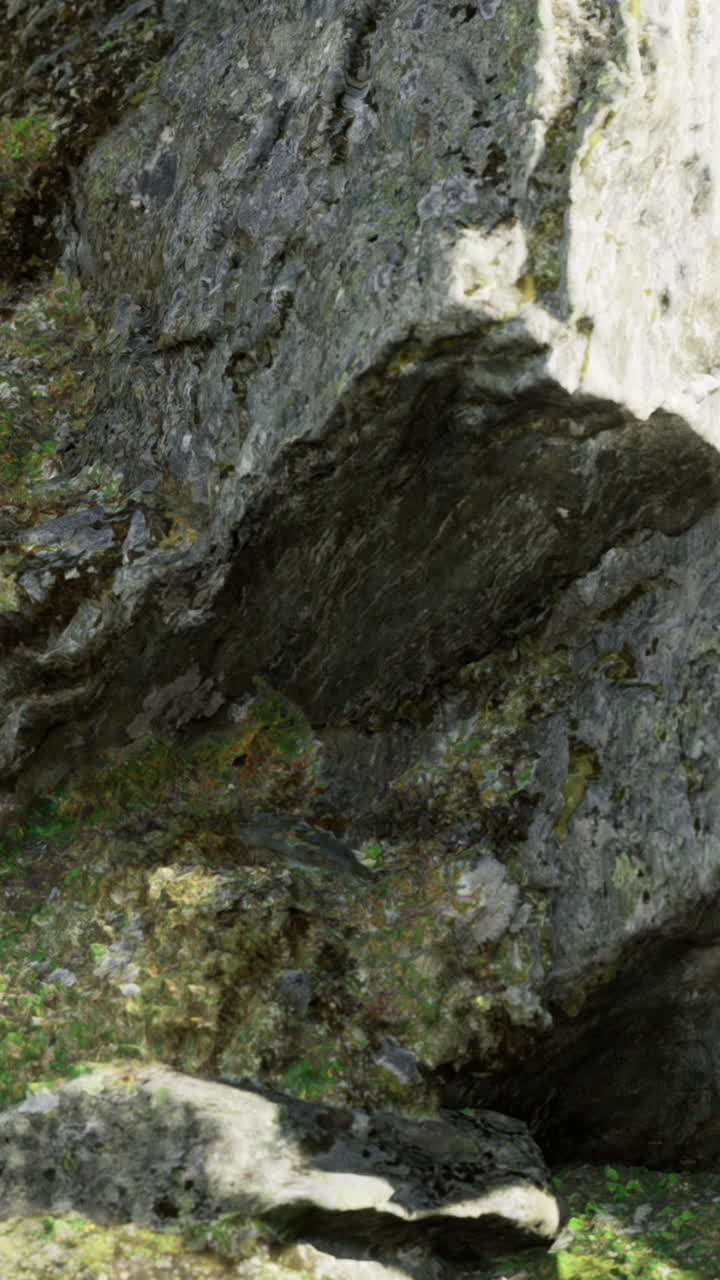 Primo piano di una superficie rocciosa con muschio e vegetazione vicino all'acqua.