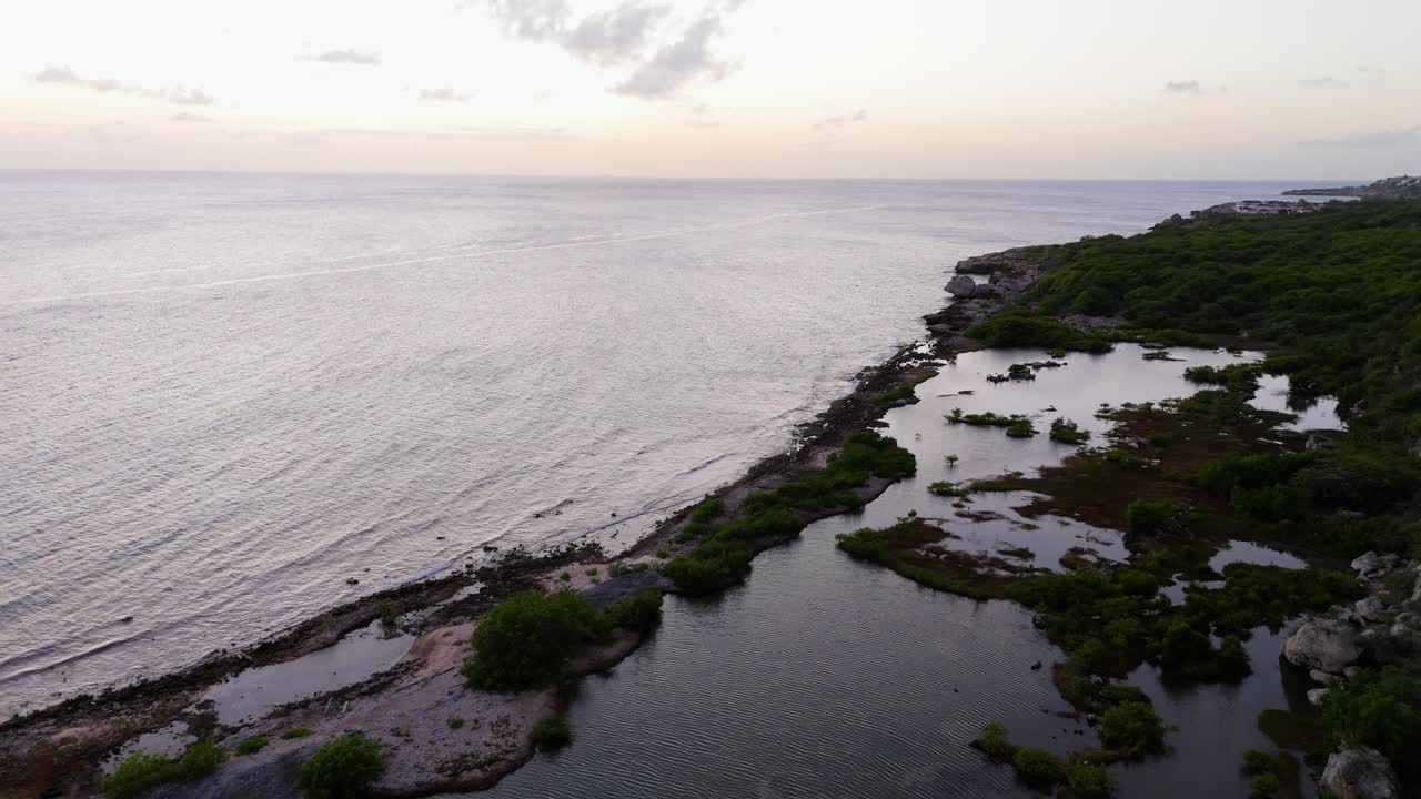dolly aéreo sobre piscinas naturales de sal en la costa de piscadera curacao