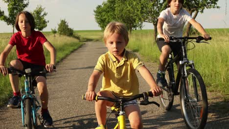 niños lindos y felices, hermanos, montando bicicletas en el parque en un soleado día de verano, hablando y riendo