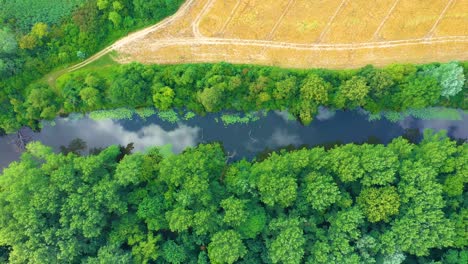 Vista-De-Arriba-Hacia-Abajo-Sobre-El-Río-Sinuoso-Exótico-Fluye-A-Través-De-Humedales-Verdes