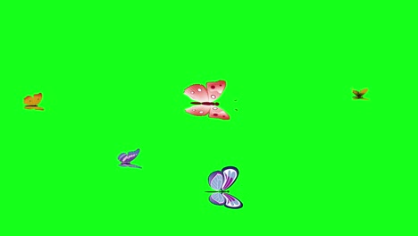 grupo de mariposas vuelan en pantalla verde tecla de croma, elemento de fuente gráfica animación