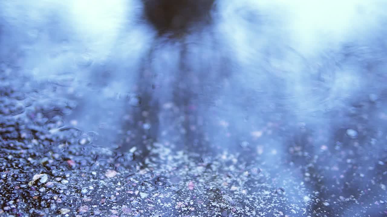 Focus pull from a reflection of a tree to closeup concrete puddle