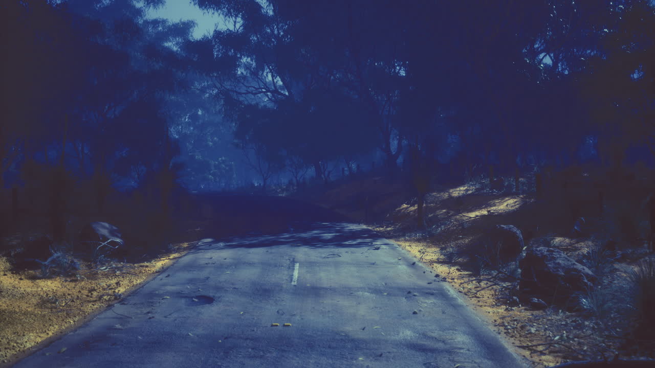 Mysterious blue haze envelops a deserted road leading through the woods