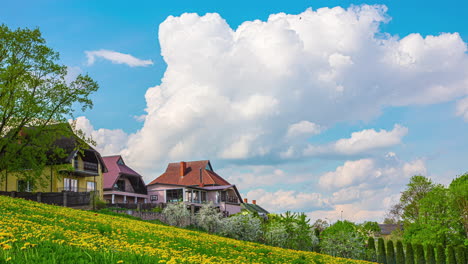 beautiful nature and white big clouds